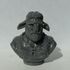 Firbolg Bust [Pre-Supported] print image